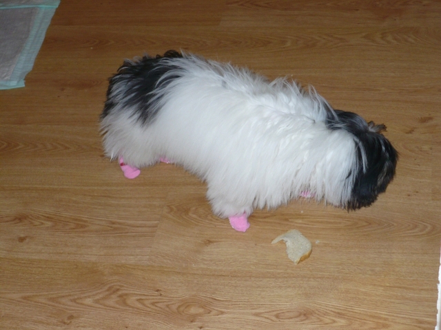 BIG_0007000227.jpg