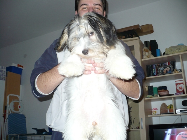 BIG_0007121661.jpg