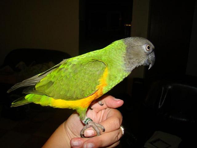 BIG_0006452313.jpg