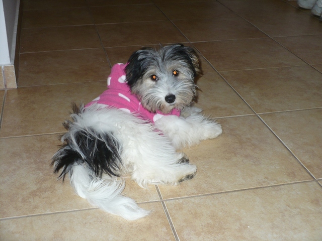 BIG_0007004406.jpg