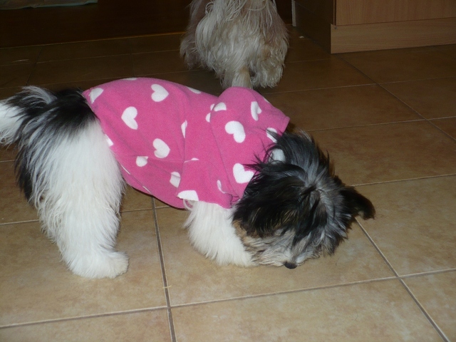 BIG_0007004414.jpg