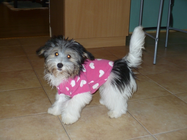 BIG_0007004418.jpg