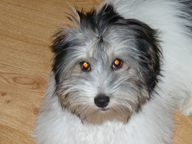 BIG_0007074977.jpg