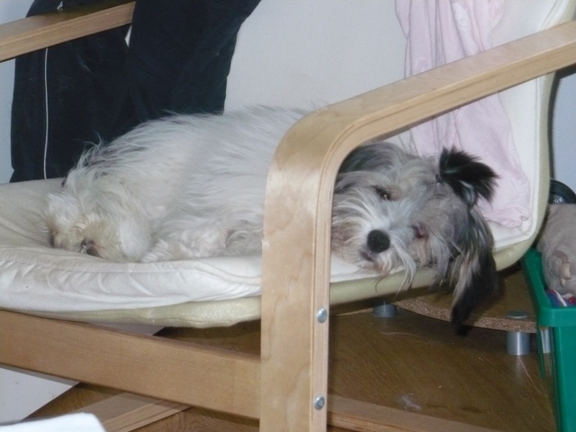 BIG_0007235626.jpg