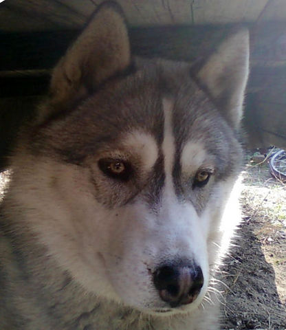 BIG_0007597175.jpg