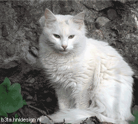 THM_0002038122.gif