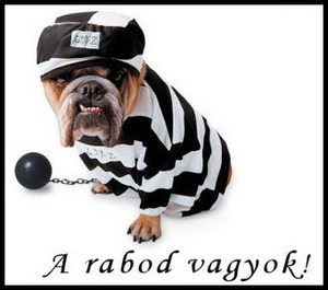 BIG_0007178852.jpg