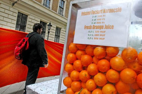 Narancsos �letk�p
// Fot�: Huszti Istv�n, (c) 1999-2021 Index.hu