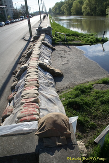 
// Fot�: Forg� L�szl�, (c) 1999-2021 Index.hu