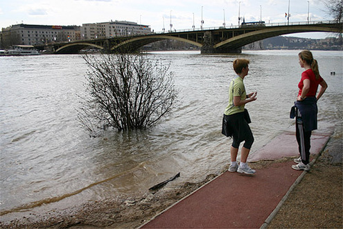 Nincs tov�bb a d�li cs�cs�kn�l
// Fot�: Nagy Attila, (c) 1999-2021 Index.hu