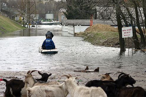 Farkasszemet n�znek a v�zzel
// Fot�: Nagy Attila, (c) 1999-2021 Index.hu