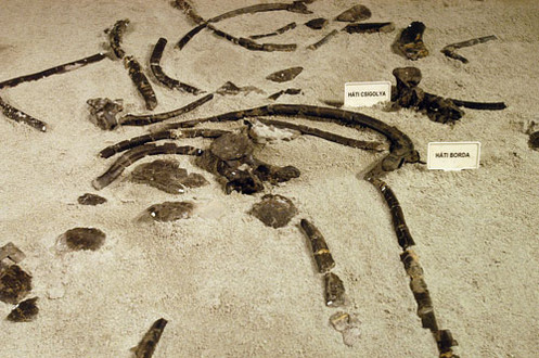 �s a csontok k�l�n, homok�gyon
// Fot�: Huszti Istv�n, (c) 1999-2021 Index.hu