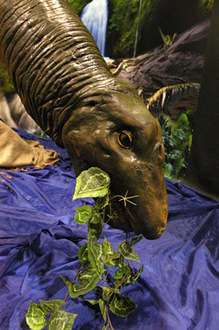 Hamm, megeszi a li�nt
// Fot�: Huszti Istv�n, (c) 1999-2021 Index.hu