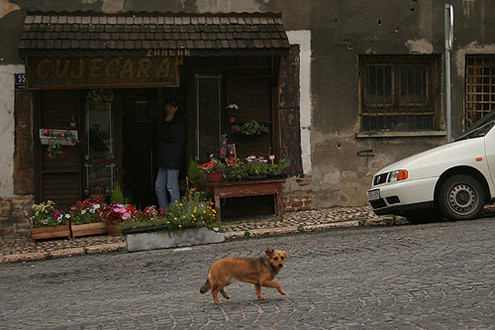 
// Fot�: Nagy Attila, (c) 1999-2021 Index.hu