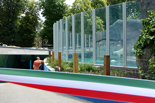 Magyar szalag, jeges medve.
// Fot�: Munk Veronika, (c) 1999-2021 Index.hu