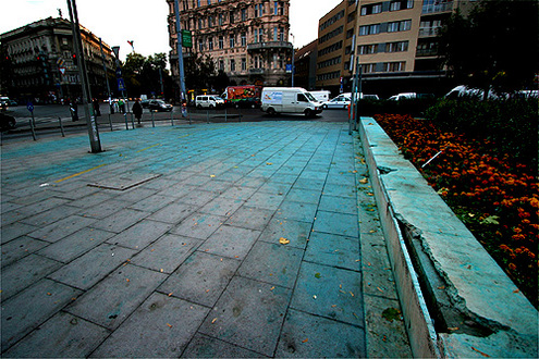 Vzgyzs nyoma
// Fot: Nagy Attila, (c) 1999-2025 Index.hu