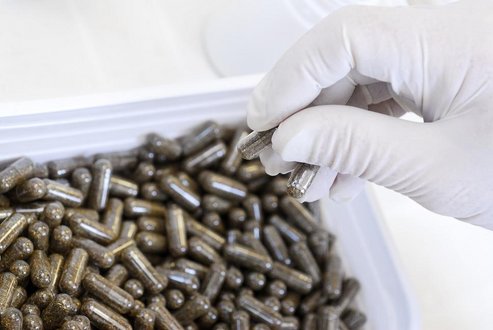 Az �ssejtfokoz� kapszula
// Fot�: Cser D�niel, (c) 1999-2021 Index.hu