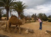 Djerba Heritage