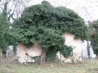 Szt. Jakab-rom