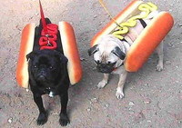 Hotdog