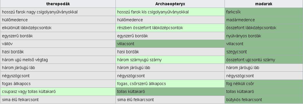 nagy hosszú fasz cső