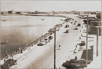 qatar 1950