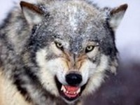 Meddig kell várnom, hogy megkezdjem a randizást, miután a házastársam meghalt