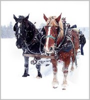 Two horse Open Sleigh by Glandrid (Phillip Holland)
