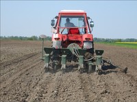 Mtz4
