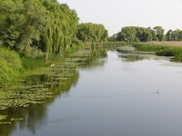 A nyri Csati