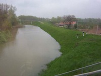 gt Szeged fell