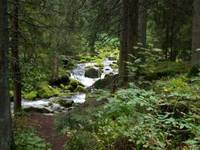 Morskie Oko