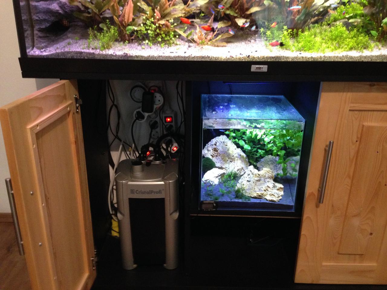 Akvarium Index Forum