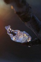 macro1