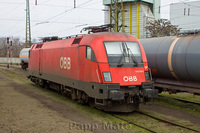 1116 004 'Flou' Debrecen, 2013.02.25.
