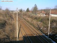 Cica a vgnyoknl