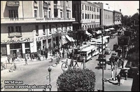alexandria 1