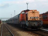 M40 203 Krmend llomson