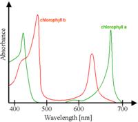 Chlorophyll ab spectra