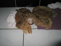"Munka" utn des a pihens... :)