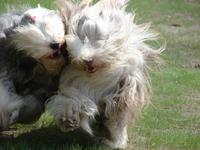 akik felforgattk az letnket