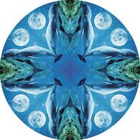 Delfines mandala :)