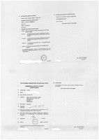 Nexon dél-korea meccse