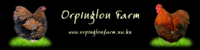 Orpington Farm