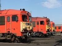 M41 2174 & 2133 & 2167, Debrecen, 2006.08.25