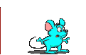 Anus, a btor