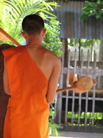 Thai farang randevú