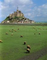Szorgalmas f�ny�r�k Mont-Saint-Michel hegye k�r�l