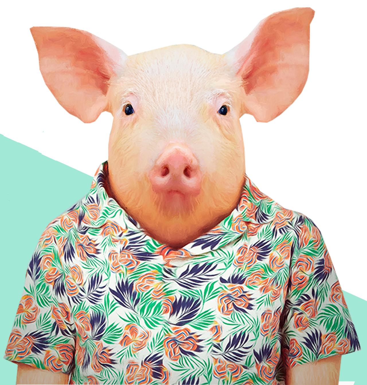 Свинья в костюме арт