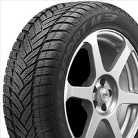 Dunlop WS M3
